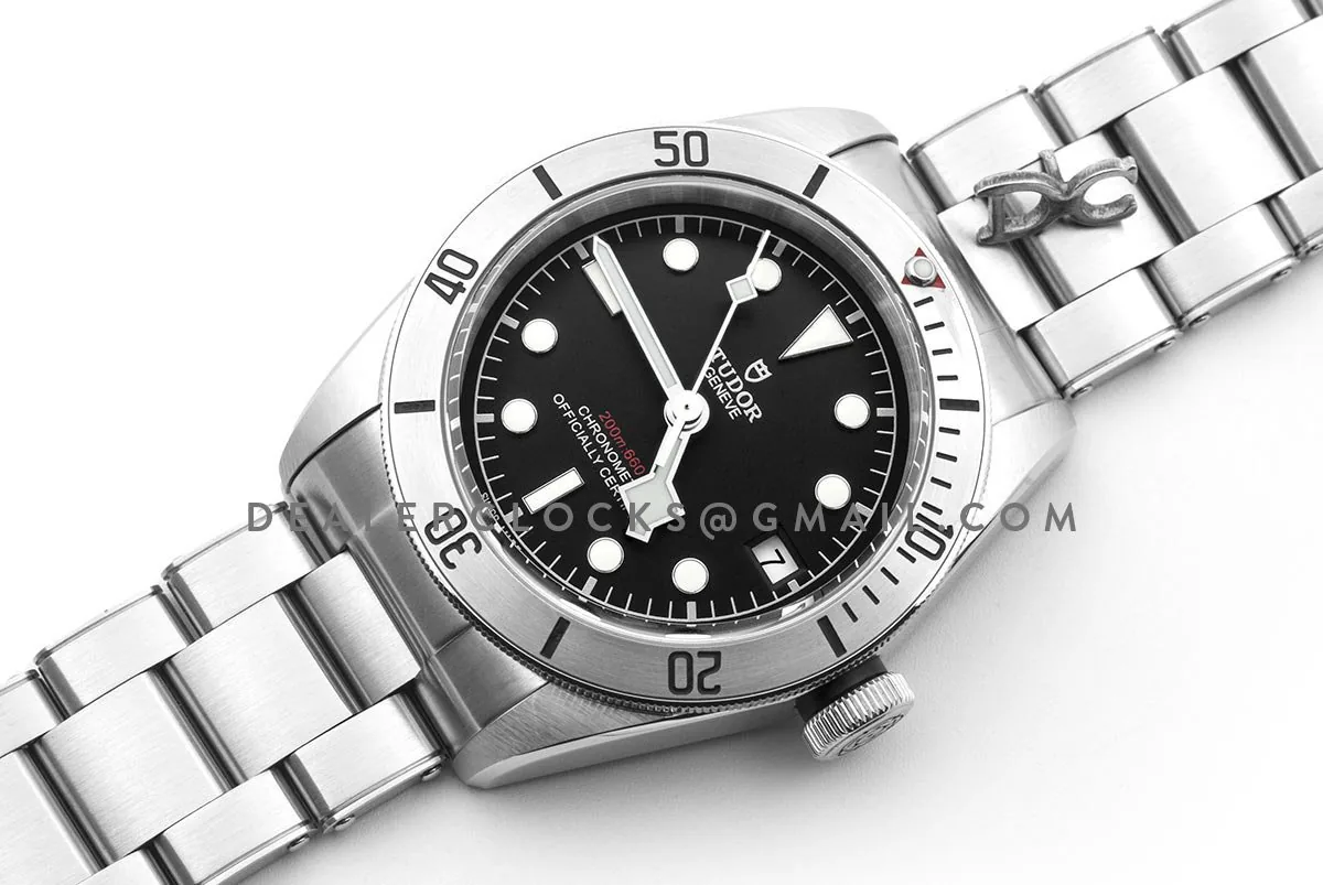 Tudor Black Bay acier M79730-0006 – Image 3